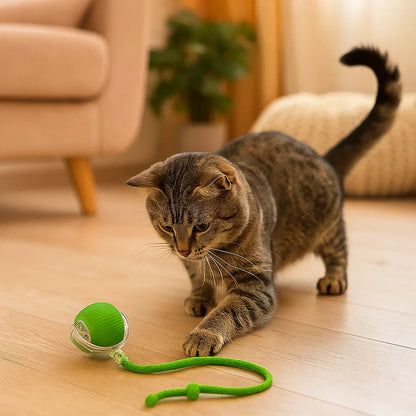 Katės žaislas – šokinėjantis kamuoliukas su virve