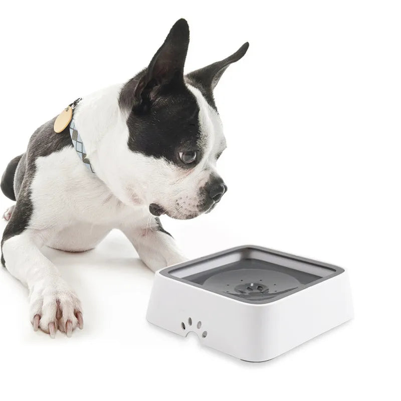 Plastic Dog Drinking Water Bowl with Floating Design Non-Wetting Mouth Cat Water Dispenser Anti-Overflow Pet Feeder 1L Capacity